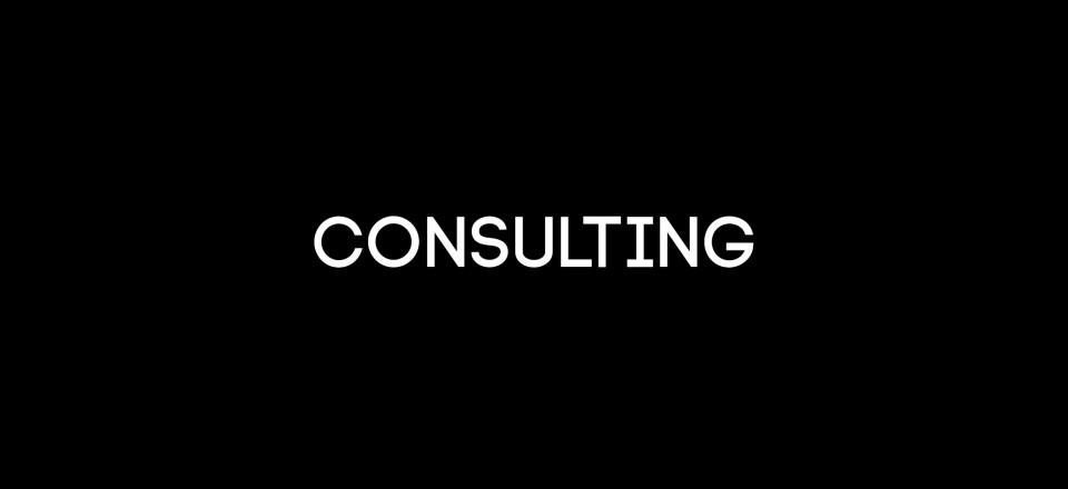 Consulting